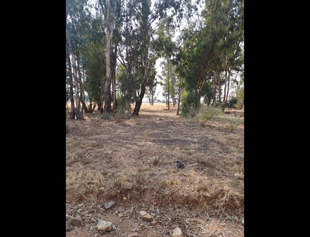 16HA VACANT LAND FOR SALE IN WALKER FRUIT FARMS